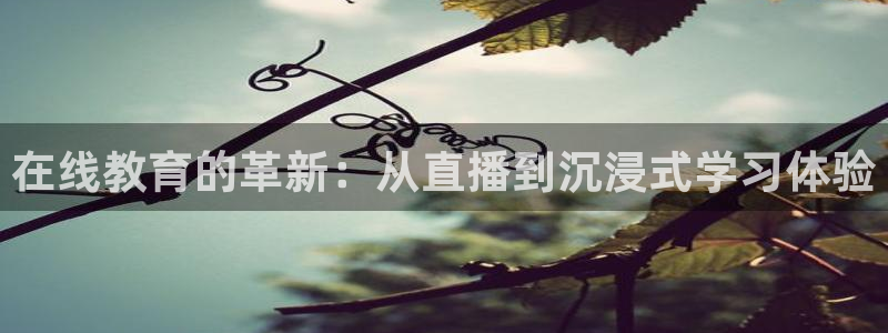 河豚的直播网：在线教育的革新：从直播到沉浸式学习体验
