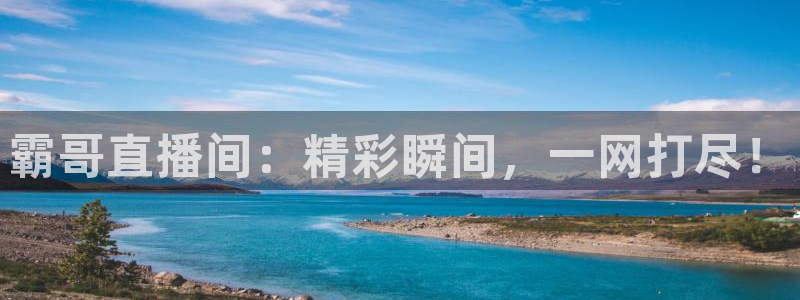 河豚体育直播：霸哥直播间：精彩瞬间，一网打尽！