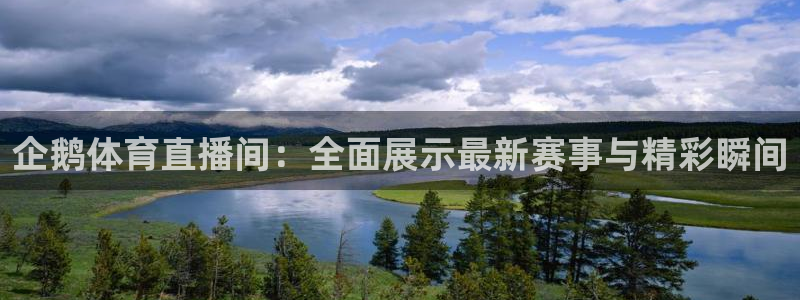 河豚体育nba直播在线观看：企鹅体育直播间：全面展示最新赛事与精彩瞬间