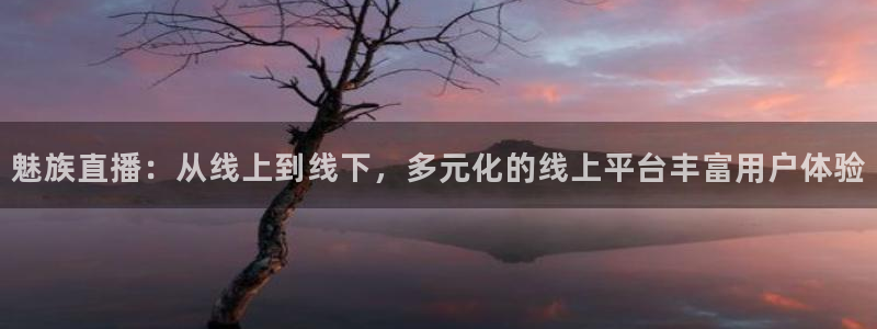 nba直播 河豚：魅族直播：从线上到线下，多元化的线上平台丰富用户体验