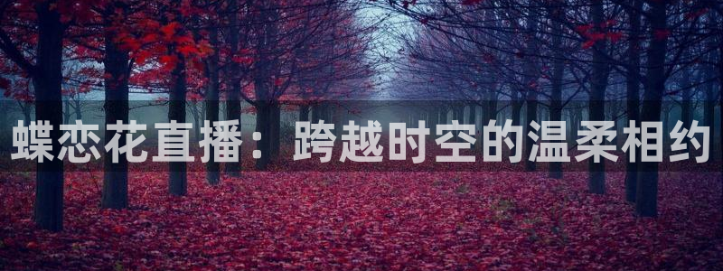 河豚体育直播cba免费下载：蝶恋花直播：跨越时空的温柔相约