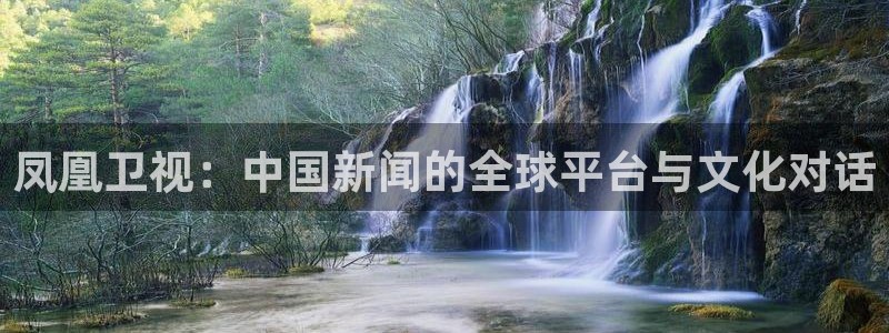 河豚在线直播nba：凤凰卫视：中国新闻的全球平台与文化对话